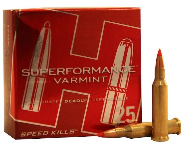 Hornady Superformance .17 Hornet 20 Grain V-MAX 500 rounds