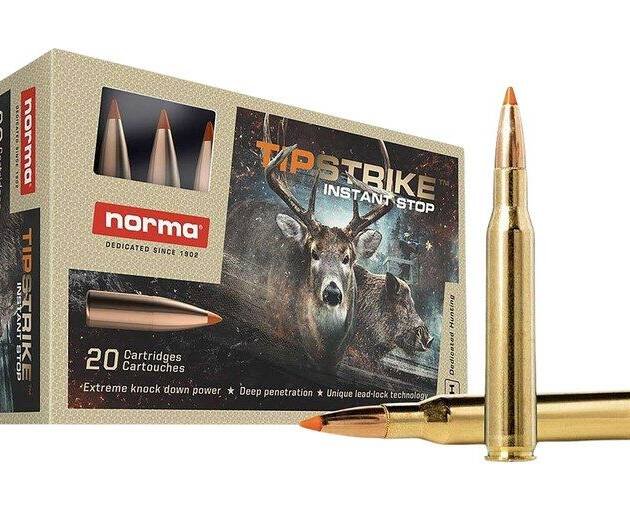 Norma Hornady V-Max 204 Ruger Ammo 40 Grain Polymer Tip Box of 500