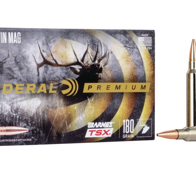 Federal Premium BARNES TSX .300 Winchester Magnum 180 grain Barnes Triple-Shock X Centerfire Rifle Ammunition 500 ROUNDS
