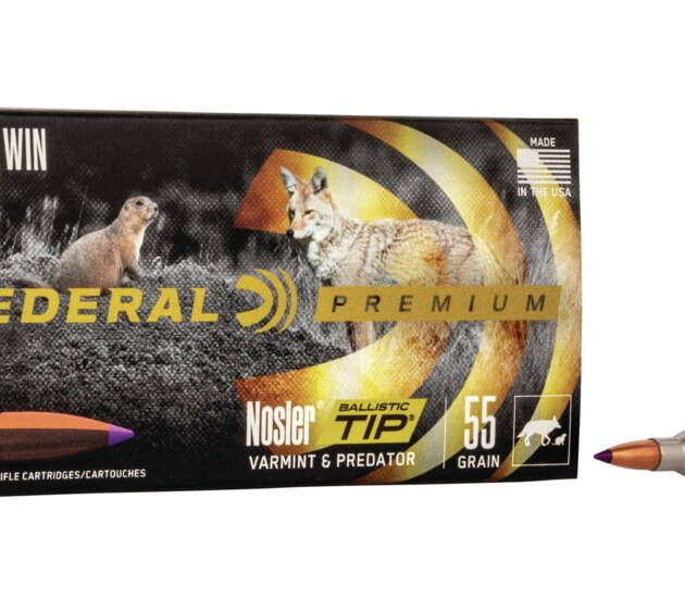 Federal Premium V-SHOK .243 Winchester 55 grain Nosler Ballistic Tip Centerfire Rifle Ammunition P243H Caliber: .243 Winchester, Number of Rounds: 500 ROUNDS