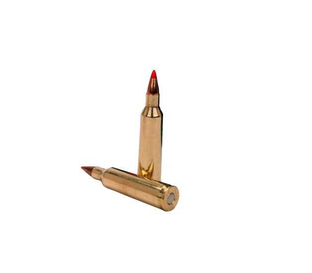 Fiocchi 22-250Rem 55gr Vmax /20 22250HVD Caliber: .22-250 Remington, Number of Rounds: 500