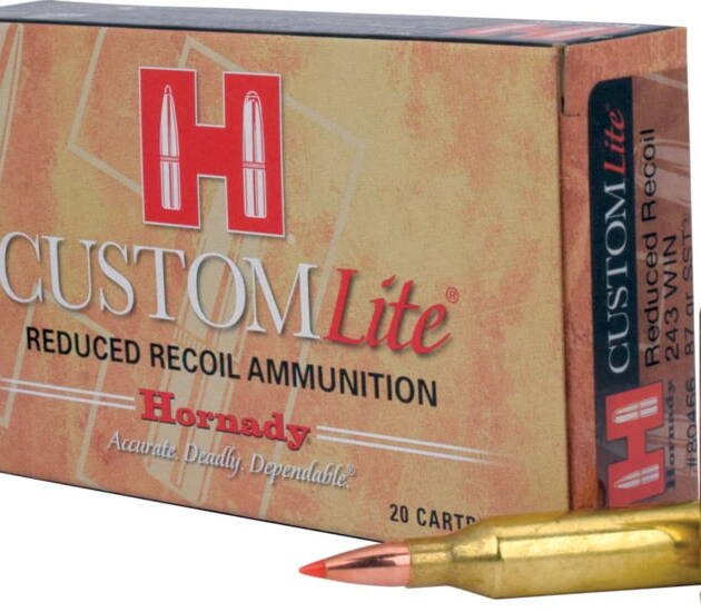 Hornady Custom .243 Winchester 87 Grain Super Shock Tip Centerfire Rifle Ammunition 500 ROUNDS