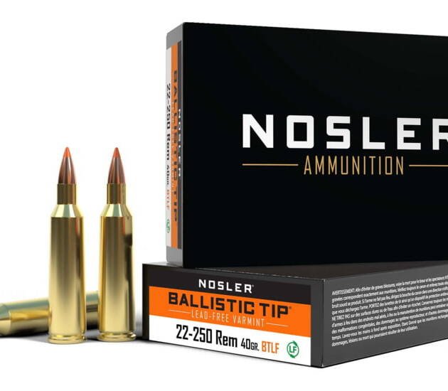 Nosler .22-250 Remington Ballistic Tip 40 grain Brass Cased