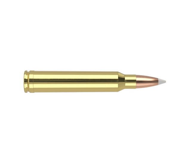 Nosler Trophy Grade .300 Winchester Magnum 180 Grain AccuBond Brass Cased Centerfire Rifle Ammunition 500 ROUNDS