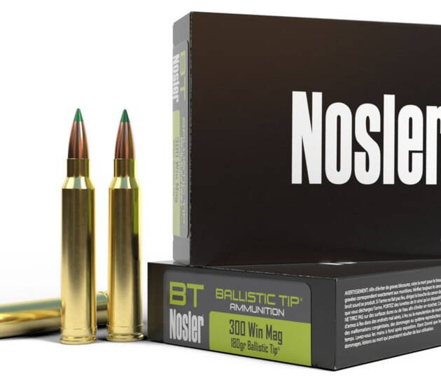 Nosler .300 Winchester Magnum 180 Grain Ballistic Tip Brass Cased Centerfire Rifle Ammunition 500 ROUNDS