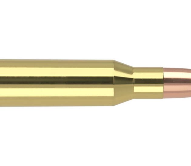 Nosler 7mm-08 Remington 120 Grain Ballistic Tip Brass Cased Centerfire Rifle Ammunition 40060 Caliber: 7mm-08 Remington, Number of Rounds: 500