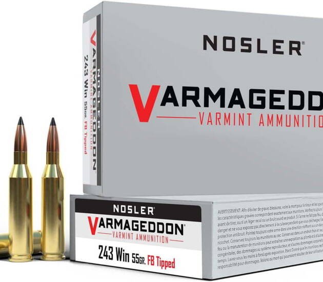 Nosler Varmageddon .243 Winchester 55 Grain Flat Base Tipped Brass Cased Centerfire Rifle Ammunition 500 ROUNDS