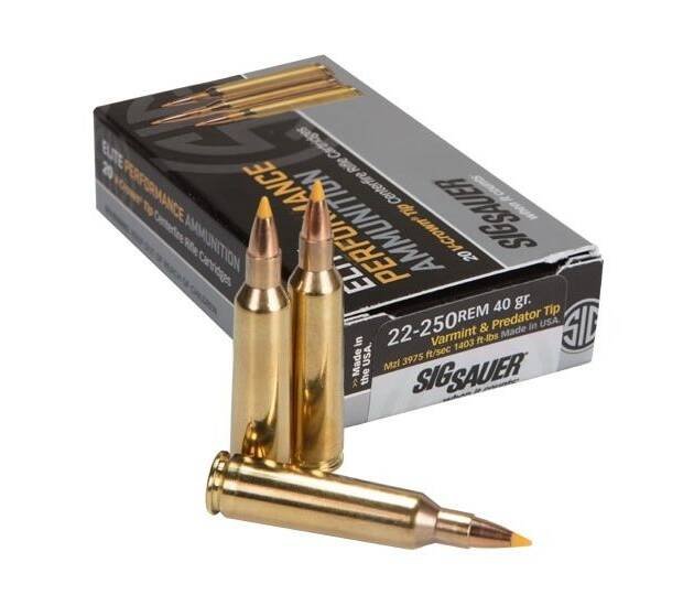 Sig Sauer SIG Hunting Rifle Ammunition .22-250 Remington 40 grain Full Metal Jacket Brass Cased 500 rounds