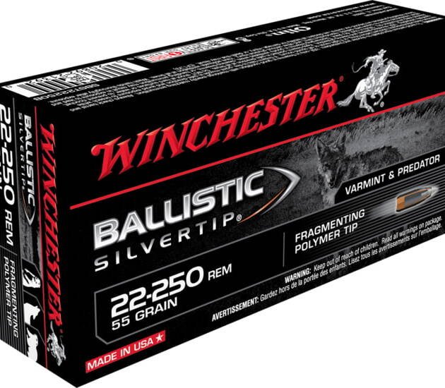 Winchester BALLISTIC SILVERTIP .22-250 Remington 55 grain Fragmenting Polymer Tip